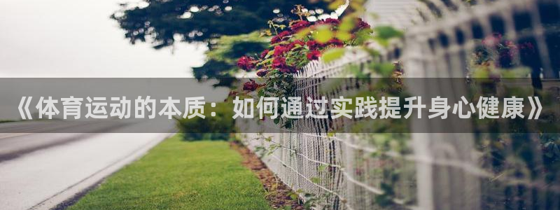 杏鑫3平台登录注册