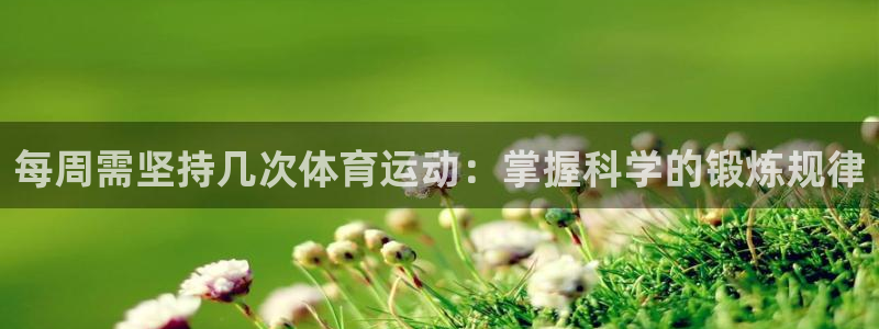 杏鑫体育和杏耀是哪个公司的