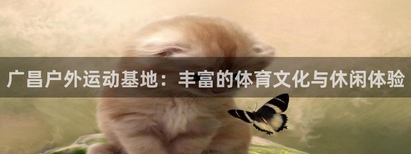 杏鑫体育