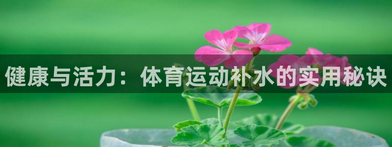 杏鑫3平台注册