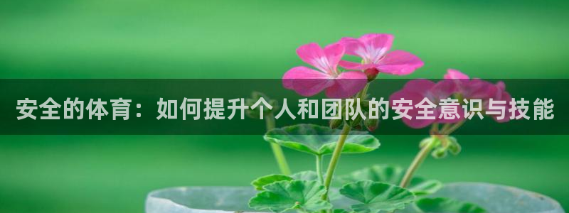 杏鑫代理