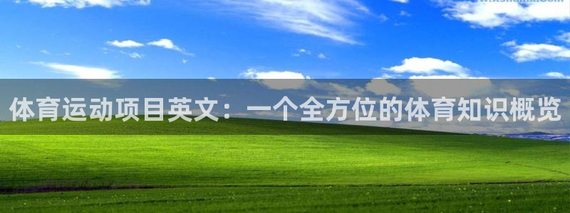 意昂新能源汽车科技有限公司