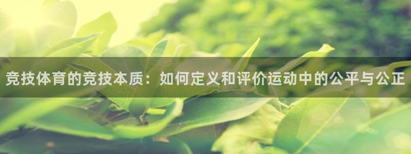 福建意昂机电股份公司