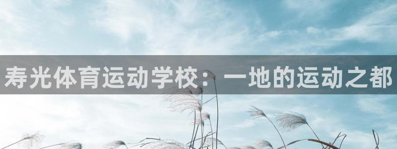 杏鑫体育2官网入口