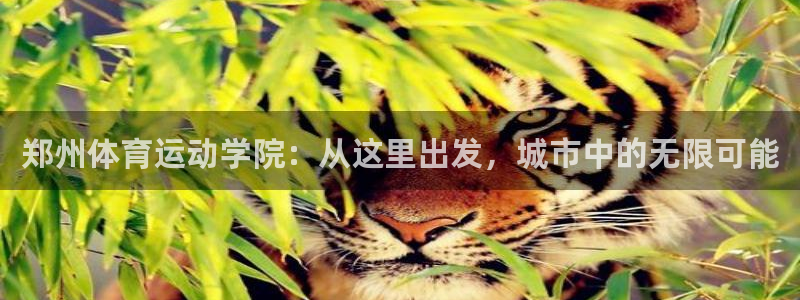 杏鑫体育3在线注册