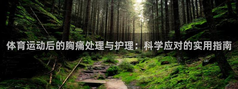 德国意昂集团
